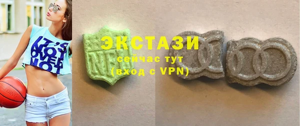 стаф Алзамай