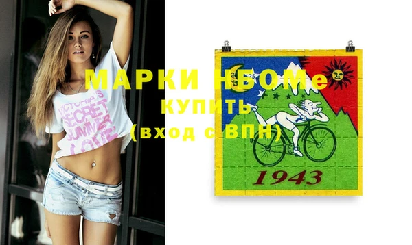 стаф Алзамай