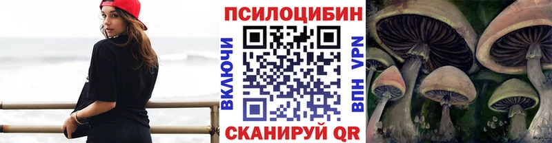 где купить наркоту  сайты даркнета как зайти  Галлюциногенные грибы MAGIC MUSHROOMS  Олонец 